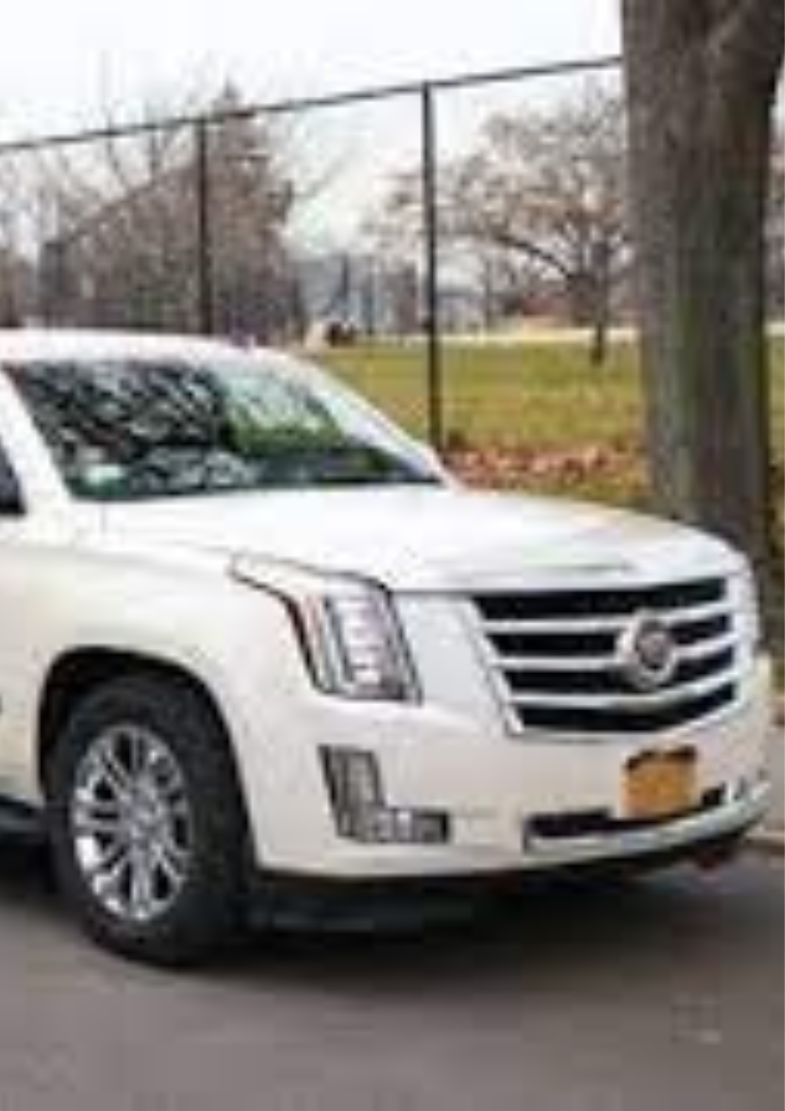 Purim Limo Service